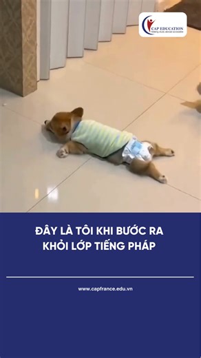 5.9K views · 57 reactions | Combo subjonctif, passé composé,...