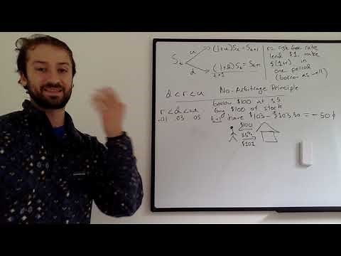 4. The No Arbitrage Principle (and the Risk-Free Rate)