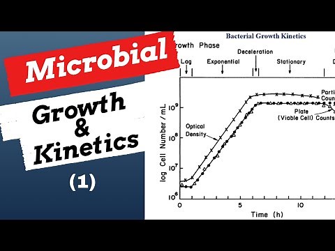 Microbial Growth & Kinetics(1)| Explained| Bioprocess & Biochemical Engineering