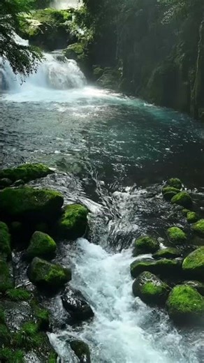Whispering Waterfalls – Relaxing Nature Sounds