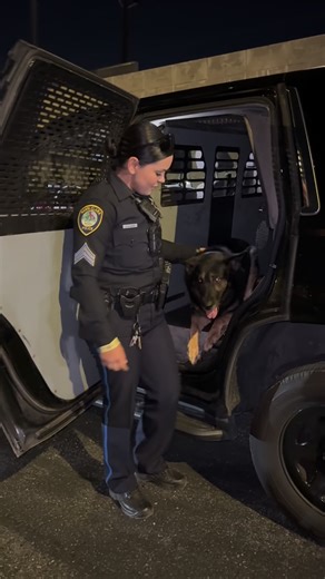 54K views · 9.1K reactions | K9 “Kairo” and Sgt. Velasco, we have...