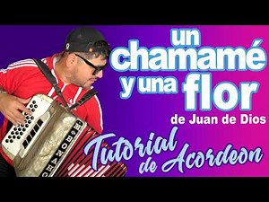 TUTORIAL: A CHAMAME AND A FLOWER (Chamame of John of God)