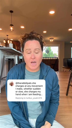 5.3K views · 71 reactions | If you have an aggressive rabbit,...