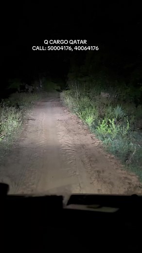 Air and Sea Cargo Services from Qatar to Sri Lanka