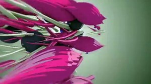 Technical video 2020  .