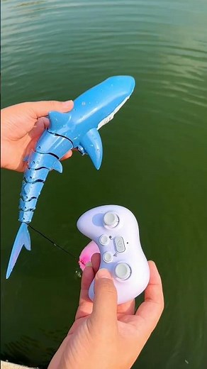 2.4G Remote Control Shark #toys #shark