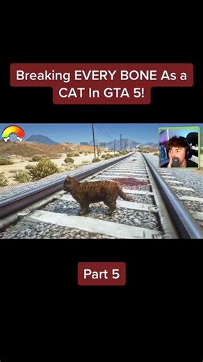 Breaking EVERY BONE As a CAT In GTA 5! PT5 | Caylus
