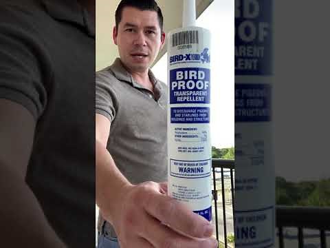 Bird-X Gel Bird Repellent Review Part 1
