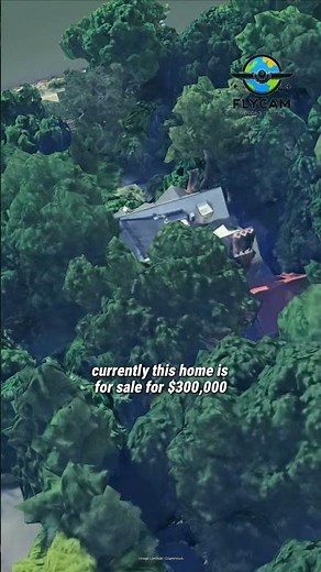 Own an abandoned house in New York City for just $300,000