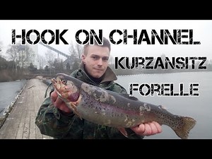 Großforelle schnappt nach 15cm Rotauge, fischen am Almsee Varel