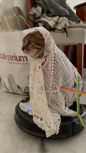 Ens veiem a TV3: - APM? a les 13:50 - APM? Extra a les 19:15 | APM?