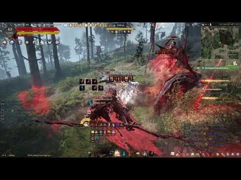 Black Desert Online Lv. 63 Awakening Ninja leveling part 170: new crystal preset! more AP!