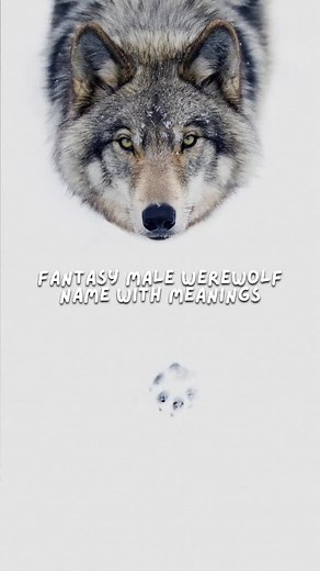 Werewolf Names for Boys: Fantasy and Alpha Wolf Ideas