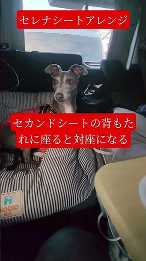 セレナシートアレンジ #イタグレ #日産セレナ