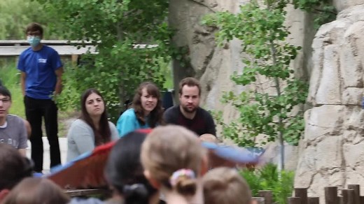 280 reactions · 66 shares | Outdoor bird shows are back daily, Tuesday - Sunday at 10:30 a.m. and 1:30 p.m. Join us to experience the thrill of birds flying overhead. Shows are free with admission, but seating is limited so arrive early for a chance to meet some of our most famous "celebirdies!" | Tracy Aviary | Facebook