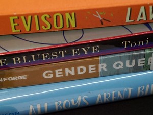 Banned Books Week: What Titles Have Been Removed From VA Schools