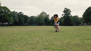 Our Halti products guarantee optimum results with even the strongest of pullers! Explore the market-leading range of No Pull Headcollars and Harnesses for your dog today. | Company of Animals