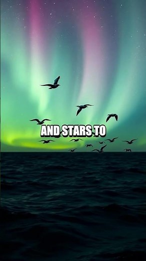 The Journey of the Manx Shearwater