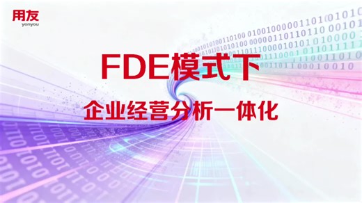 FDE模式下，构建企业经营分析一体化范式