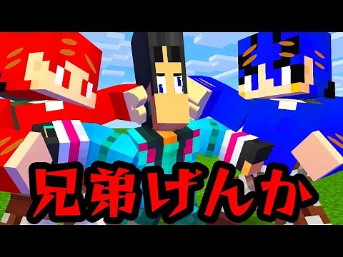 危険な兄弟ゲンカを止めようとしたすまない先生【マイクラ・マインクラフト】