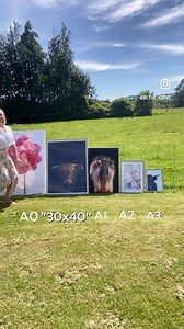 36 reactions | Size Comparison!! Here is the video you have all been asking for. I will take the round of applause thank you  This will show you a good size comparison for the A size prints and also how the 30x40 inch fits in the mix any questions let me know. Amanda x | By The Horns | Facebook
