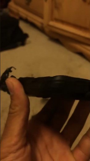 Samsung Note 7 Caught Fire