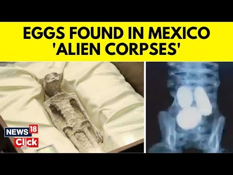 Alien Bodies Mexico | Eggs Found In 'Alien Bodies' Displayed In Mexico | Mexico Alien Corpse | N18V