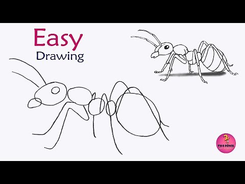 how to draw a ant | ant drawing | how to draw an ant step by step | ant drawing for beginners. | ant