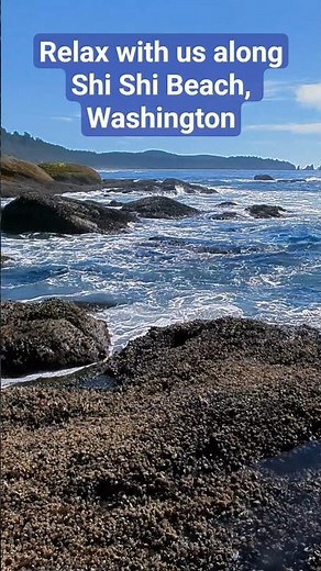 Shi Shi Beach: Washington’s Must-See Coastal Hike