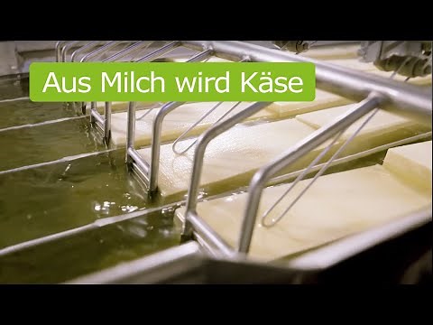 Käseherstellung einfach erklärt