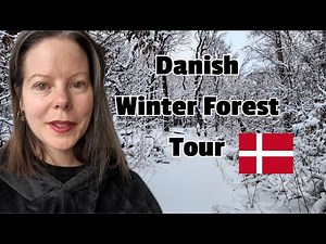 Soft Spoken Denmark Forest Tour 🌳 Magical Winter Walk | ASMR Denmark