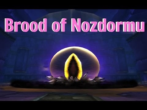 Get Exalted with Brood of Nozdormu - Wotlk and Dragonflight relevant