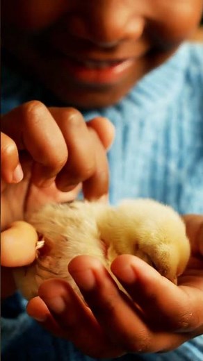 An Adorable Little Girl's Love For Animals. #AnimalLover #KindnessToAnimals #AdorableGirl #animals