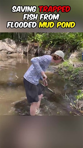 Saving BEAUTIFUL FISH From Flooded MUD POND 🤢 | Bass Fishing Productions