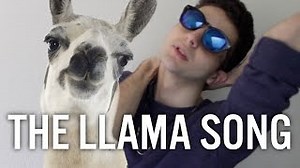 Twaimz - Llama song pt.1