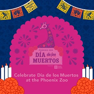 🧡 Experience the Phoenix Zoo’s first Día de los Muertos🕯️celebration Nov. 1st and 2nd with vibrant culture, color, and tradition 💐 for the whole family to enjoy! Included with your admission. | Phoenix Zoo