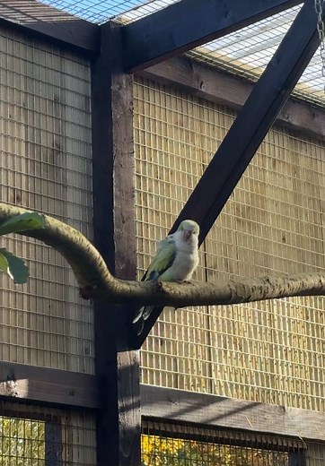 Quaker release