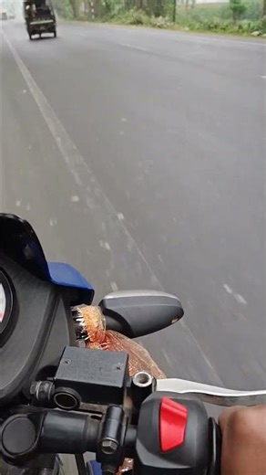 cola pur ja rahe he😆😆🏍️🏍️