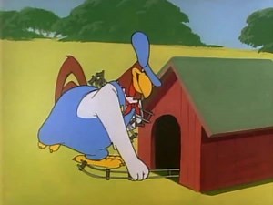 Why Foghorn, why? | Boomerang