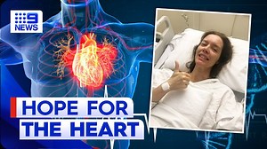 New tool could help millions predict cardiovascular disease | 9 News Australia - The Global Herald