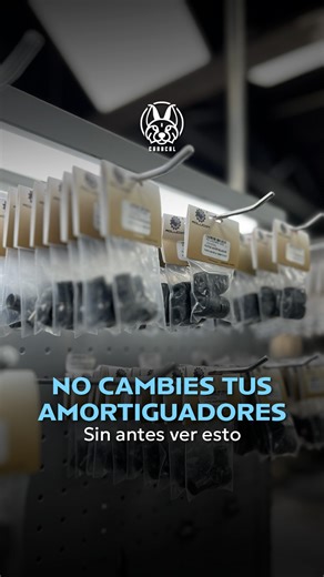 ¿Quieres instalar un gato en el capot o compuerta de tu vehículo? En Caracal La Campiña tenemos más de 75 modelos de gatos, pero lo más importante es la asesoría y adaptación correcta 😌 Aquí no solo vendemos el amortiguador: Nuestros expertos de Ragma te ayudan con puntillas y adaptaciones para que quede perfecto en tu carro, van o tráiler 😉 Visítanos en La Campiña y deja que nuestros expertos lo hagan como debe ser 😎