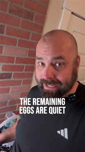 Don’t Open the Incubator Yet 🐣 | Hatch Day Mistake