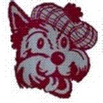 Volleyball Recap: Argyle Triumphs