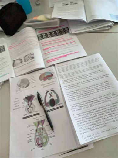 Efficient Study Techniques for Success