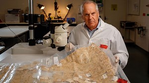 Silent sleuth: The unsung hero of SA crime fighting