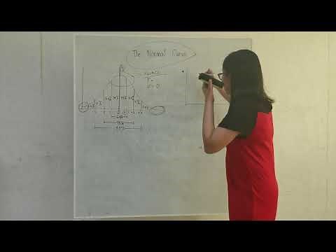 Positively Skewed and Negatively Skewed (Normal Curve and Skewness)
