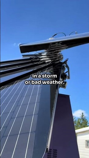 Meet the Smart Flowers