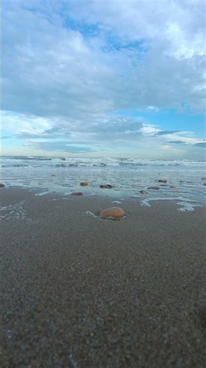 Sea Foam Right in Your Screen | Waves So Close You Can Feel Them