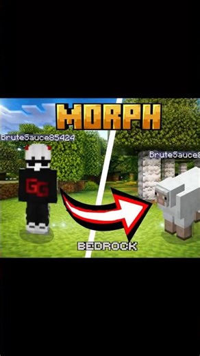 COMMENT SE TRANSFORMER EN MOB DANS MINECRAFT (bedrock) #minecraft #tutorial