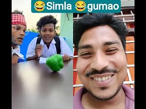 😂Simla🤣gumao #comedy #funny #india #reaction #duet #youtuber #like